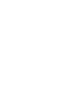 image leaf left 2