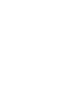 image leaf left 2